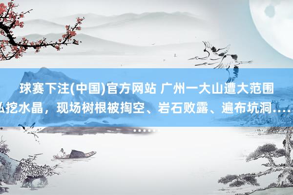 球赛下注(中国)官方网站 广州一大山遭大范围私挖水晶，现场树根被掏空、岩石败露、遍布坑洞……