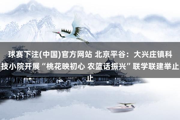 球赛下注(中国)官方网站 北京平谷：大兴庄镇科技小院开展“桃花映初心 农篮话振兴”联学联建举止