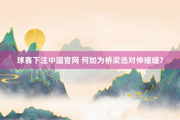 球赛下注中国官网 何如为桥梁选对伸缩缝？