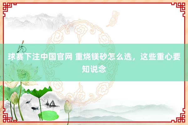 球赛下注中国官网 重烧镁砂怎么选，这些重心要知说念