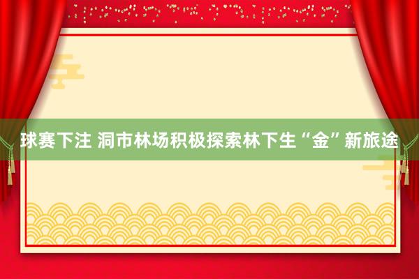 球赛下注 洞市林场积极探索林下生“金”新旅途