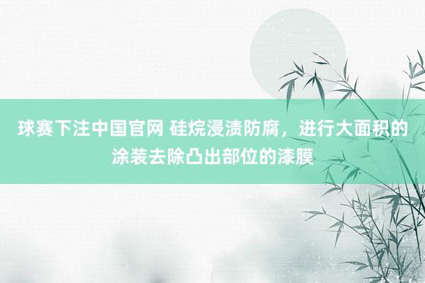 球赛下注中国官网 硅烷浸渍防腐，进行大面积的涂装去除凸出部位的漆膜