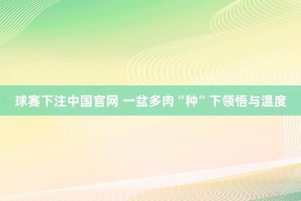 球赛下注中国官网 一盆多肉“种”下领悟与温度