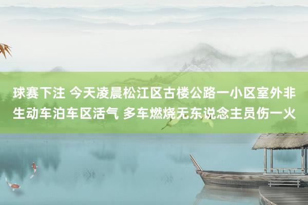 球赛下注 今天凌晨松江区古楼公路一小区室外非生动车泊车区活气 多车燃烧无东说念主员伤一火