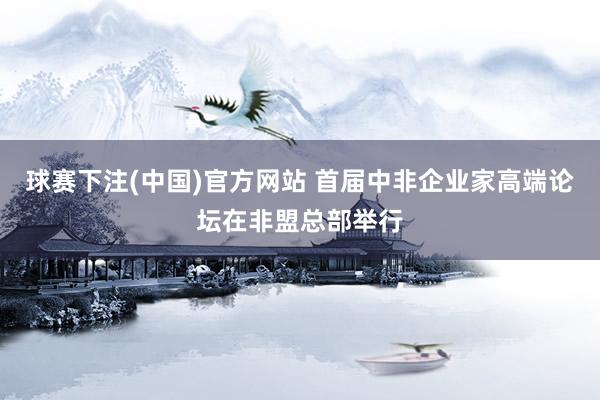 球赛下注(中国)官方网站 首届中非企业家高端论坛在非盟总部举行