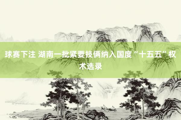 球赛下注 湖南一批紧要技俩纳入国度“十五五”权术选录