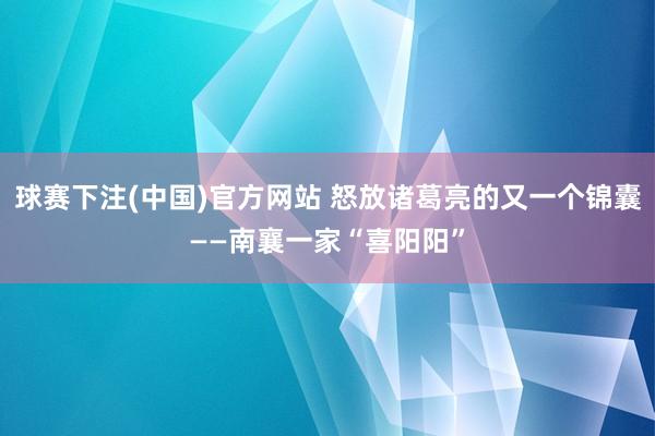 球赛下注(中国)官方网站 怒放诸葛亮的又一个锦囊——南襄一家“喜阳阳”