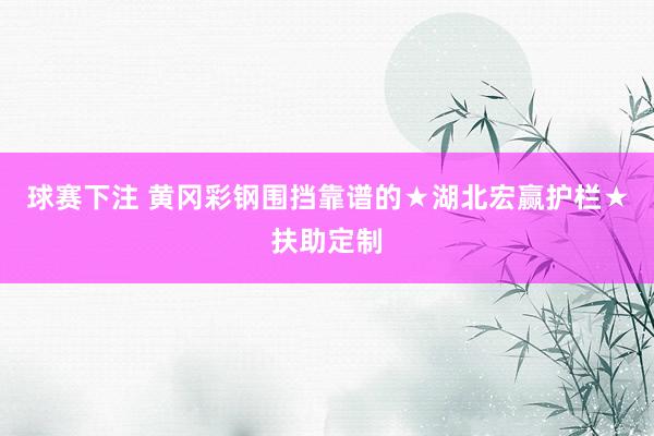 球赛下注 黄冈彩钢围挡靠谱的★湖北宏赢护栏★扶助定制