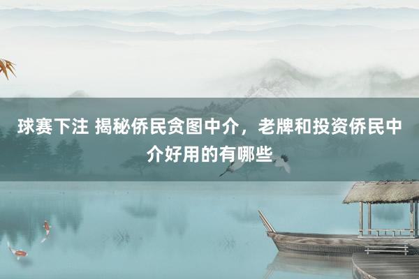球赛下注 揭秘侨民贪图中介，老牌和投资侨民中介好用的有哪些