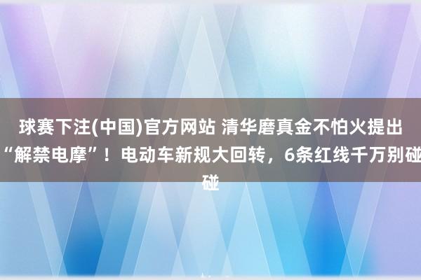 球赛下注(中国)官方网站 清华磨真金不怕火提出“解禁电摩”！电动车新规大回转，6条红线千万别碰