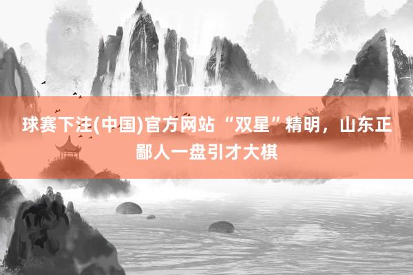 球赛下注(中国)官方网站 “双星”精明，山东正鄙人一盘引才大棋