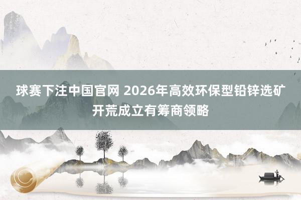 球赛下注中国官网 2026年高效环保型铅锌选矿开荒成立有筹商领略