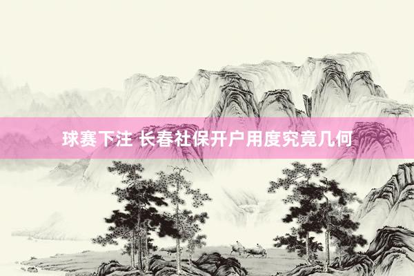 球赛下注 长春社保开户用度究竟几何