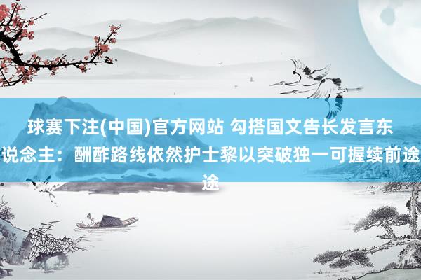 球赛下注(中国)官方网站 勾搭国文告长发言东说念主：酬酢路线依然护士黎以突破独一可握续前途