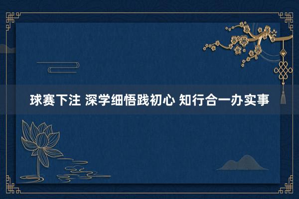 球赛下注 深学细悟践初心 知行合一办实事