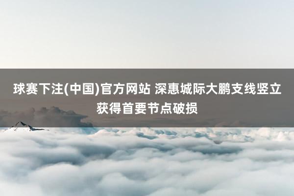 球赛下注(中国)官方网站 深惠城际大鹏支线竖立获得首要节点破损