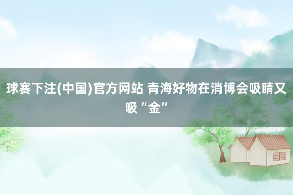 球赛下注(中国)官方网站 青海好物在消博会吸睛又吸“金”