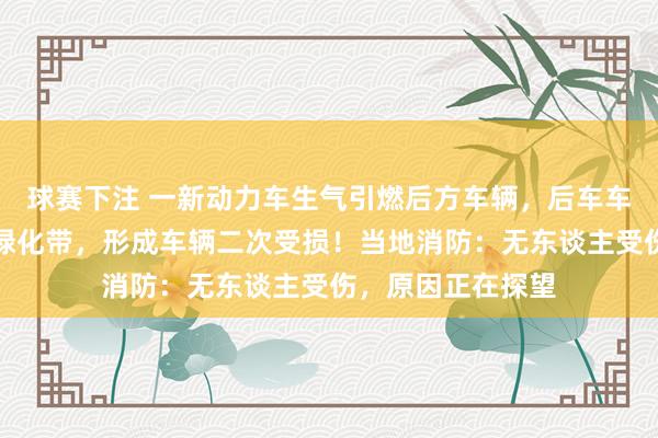 球赛下注 一新动力车生气引燃后方车辆，后车车主挪车装假冲向绿化带，形成车辆二次受损！当地消防：无东谈主受伤，原因正在探望