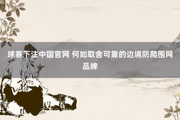 球赛下注中国官网 何如取舍可靠的边境防爬围网品牌