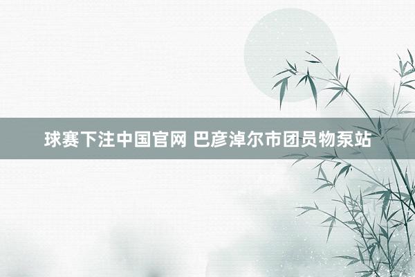 球赛下注中国官网 巴彦淖尔市团员物泵站