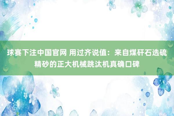 球赛下注中国官网 用过齐说值：来自煤矸石选硫精砂的正大机械跳汰机真确口碑