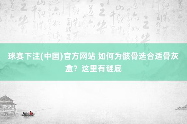 球赛下注(中国)官方网站 如何为骸骨选合适骨灰盒？这里有谜底