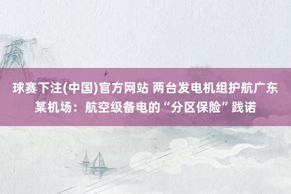 球赛下注(中国)官方网站 两台发电机组护航广东某机场：航空级备电的“分区保险”践诺