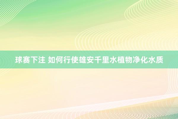 球赛下注 如何行使雄安千里水植物净化水质