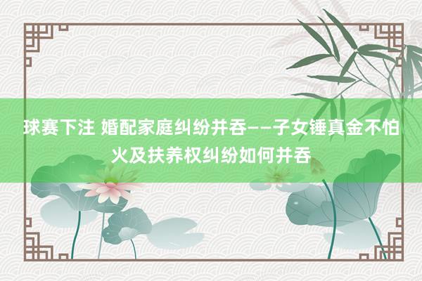 球赛下注 婚配家庭纠纷并吞——子女锤真金不怕火及扶养权纠纷如何并吞