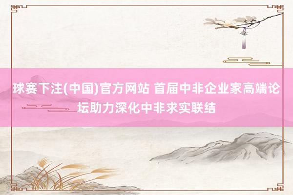 球赛下注(中国)官方网站 首届中非企业家高端论坛助力深化中非求实联结