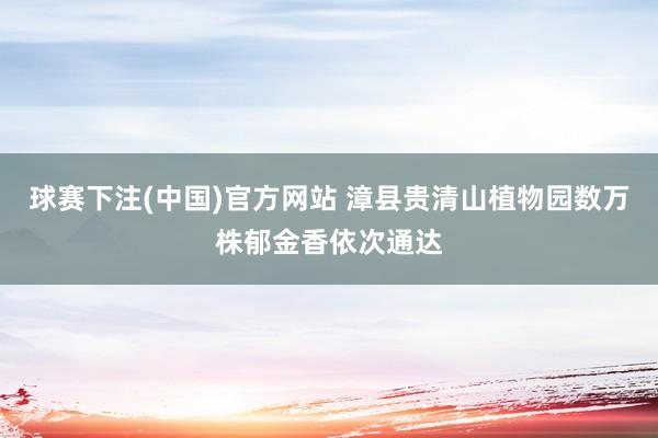 球赛下注(中国)官方网站 漳县贵清山植物园数万株郁金香依次通达