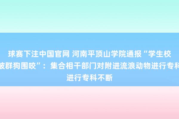 球赛下注中国官网 河南平顶山学院通报“学生校园内被群狗围咬”：集合相干部门对附进流浪动物进行专科不断