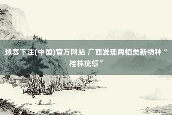 球赛下注(中国)官方网站 广西发现两栖类新物种“桂林疣螈”