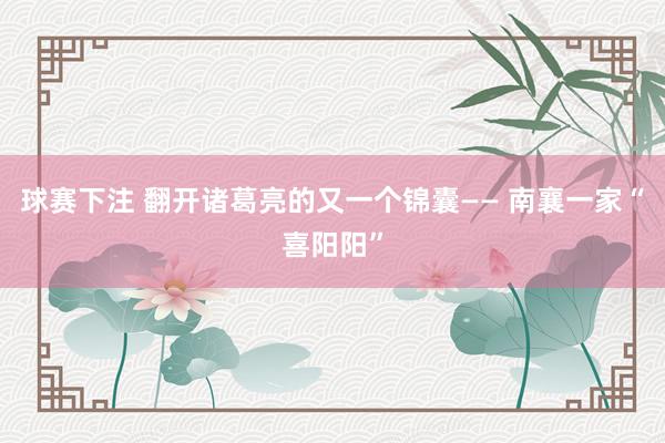 球赛下注 翻开诸葛亮的又一个锦囊—— 南襄一家“喜阳阳”