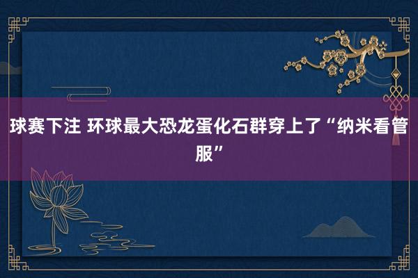 球赛下注 环球最大恐龙蛋化石群穿上了“纳米看管服”