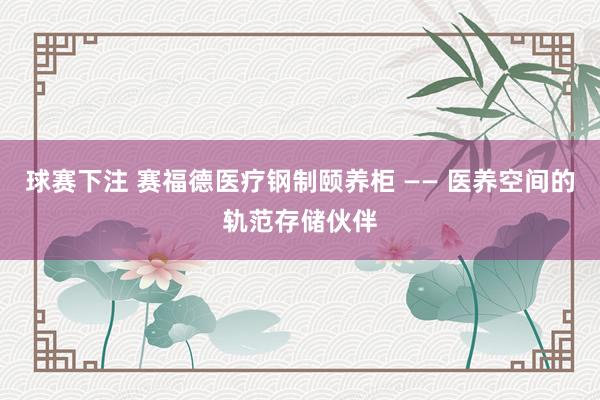 球赛下注 赛福德医疗钢制颐养柜 —— 医养空间的轨范存储伙伴