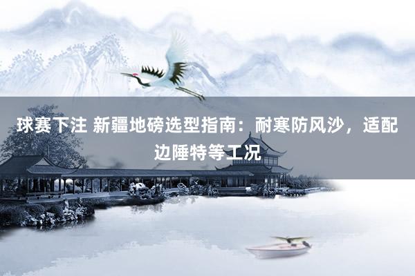 球赛下注 新疆地磅选型指南：耐寒防风沙，适配边陲特等工况