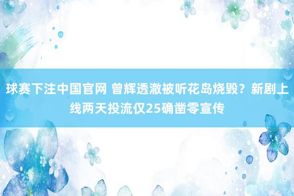 球赛下注中国官网 曾辉透澈被听花岛烧毁？新剧上线两天投流仅25确凿零宣传