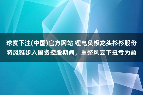 球赛下注(中国)官方网站 锂电负极龙头杉杉股份将风雅步入国资控股期间，重整风云下扭亏为盈