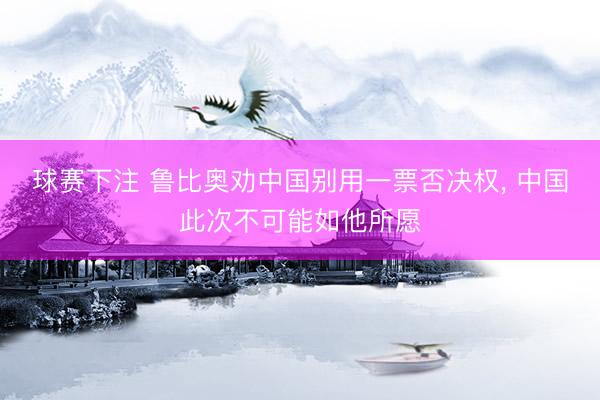 球赛下注 鲁比奥劝中国别用一票否决权， 中国此次不可能如他所愿