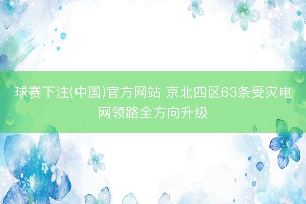 球赛下注(中国)官方网站 京北四区63条受灾电网领路全方向升级
